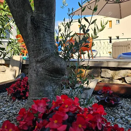 Apartment Elvira Opatija